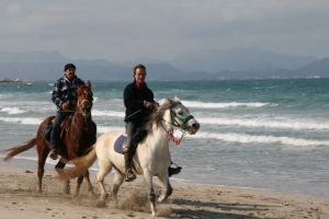 Reiten auf Mallorca, eine ganz besondere  Art der Freizeitgestaltung 