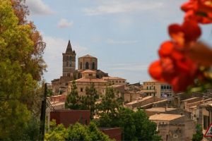 Sineu Mallorca Inselmitte