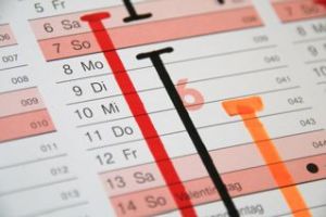 Mallorca Vermietung mit Belegungsplan, Finca mieten Mallorca, ... Finca Villa auf Mallorca Fincas, Ferienhäuser, Unterkünfte, Belegungskalender , Vakanzkalender 