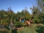 Finca, Mallorca ,Finca, Mallorca, Pollenca Ferienhaus auf Mallorca mit Pool und Meerblick für bis 6 Personen .Mallorca Ferienhäuser im Norden Mallorcas mieten, Pollenca, Finca auf Mallorca mit Pool mietenPollenca, Norden, Pollenca   mieten, Ferienhaus ,vermietung
