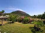 Norden Mallorca typisches Landhaus für 8 Personen bei Pollenca