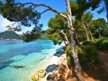 Cala San Vicente, Pollensa