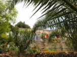 Mallorca Ferienhaus am Strand  Südosten