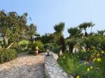Finca Mallorca große Pool Strand Ferienhaus Mallorca Urlaub in  Traum Finca 