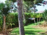 tolles Ferienhaus Mallorca komfortabel gemütlich bei Santa Ponsa im Südwesten