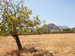 Finca Pollensa and Puerto Pollensa, alle Schlafzimmer mit Klimaanlage