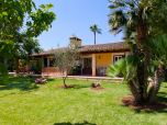 Urlaub auf Mallorca in einem hübschen Ferienhaus mit viel Rasen, großem Pool, Klimaanlage 