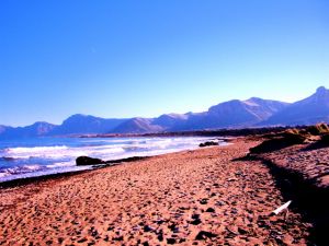 Fincavermietung Mallorca Strand Meer Sonne Pool und Garten