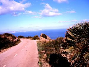 Reisezeiten Mallorca