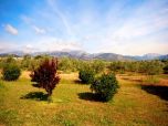 Finca mit guter Ausstattung Deutsches SAT-TV, Kamin, BBQ-Grill, Pool, Außendusche, Waschmaschine und Geschirrspüler.