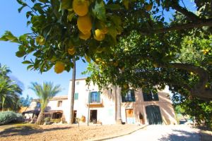 Finca Passatempo (Objekt ID: 565)