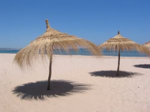 Mallorca sonnig und heiter, Mallorca kann zu jeder Jahreszeit bereist werden. Ob Frühling, Sommer, Herbst oder Winter Mallorca bietet seinen Gästen und Bewohnern zu jeder