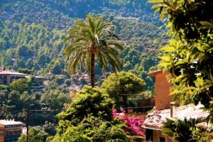 Diese Orte sollten in Ihrem Mallorcaurlaub in jedem Fall besichtigt werden, und zählen zu den absoluten Highlights einer jeden Mallorcareise.