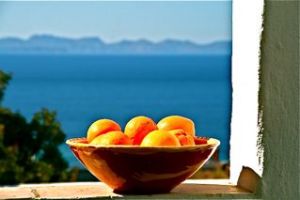 Orangen aus Mallorca, Reisetipp Soller