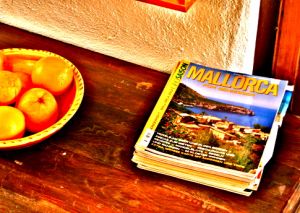 Mallorca ist eines der Traumziele der Deutschen Urlauber. Kein Wunder, Mallorca kann für jeden etwas bieten.