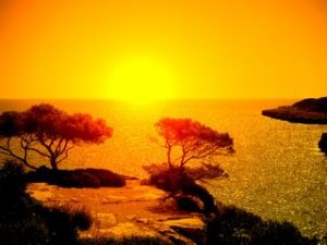 Die Cala Pi  ist eine tiefliegende, weit in den Fels schneidende Bucht, die in einem Sandstrand ausläuft. Der kleine Naturhafen des Ortes auf den Felsen kann nur von kleinen Booten frequentiert werden. Wer die voll belegten Sandstrände der großen Ferienorte mit ihren Liegestühlen satt hat und einen wildromantischen kleinen Strand voller Zauber und landschaftlicher Reize sucht, der sollte unbedingt nach Cala Pi fahren. ??Der kleine Strand liegt fast wie eine Flussmündung inmitten von schrundigen Felsen. Er ist über eine Treppe von der Straße aus erreichbar, liegt aber etwas versteckt. ? Vor Ort gibt es kaum eine touristische Infrastruktur, so dass der ursprüngliche Charme des Strandes erhalten geblieben ist. Das Wasser am Strand ist meist glasklar und spiegelglatt und eignet sich sehr gut zum Schnorcheln. Auch Tauche ist hier kein Problem. Kleine Fischerboote lehnen sich malerisch an die urig geformten Felsen und die Brandung rauscht bei entsprechendem Wind den ganzen Tag. 