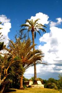 Der Traum von einer eigenen Finca unter der mallorquinischen Sonne. Wer hat ihn nicht schon bei den Reisevorbereitungen nach Mallorca geträumt. <a href="http://www.traumferienhausreisen.de/">traumferienhausreisen.de</a>, macht diesen Traum wirklich.