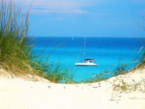 Wo lässt es sich besser entspannen als an einem traumhaften Strand? Mit Meeresrauschen, feinem Sand, kristallklarem Wasser, herrlicher Sonne und schattigen Plätzchen? Türkisblaues Wasser, weißer Sand, Palmen, die sich im Wind wiegen und warme Sonnenstrahlen auf der Haut. Lassen Sie sich zu einer Reise zu den schönsten Stränden rund um Mallorca entführen.