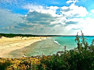 Mallorca verfügt über ausgezeichnete Strände, der berühmteste Badestrand ist wohl der Es Trenc,